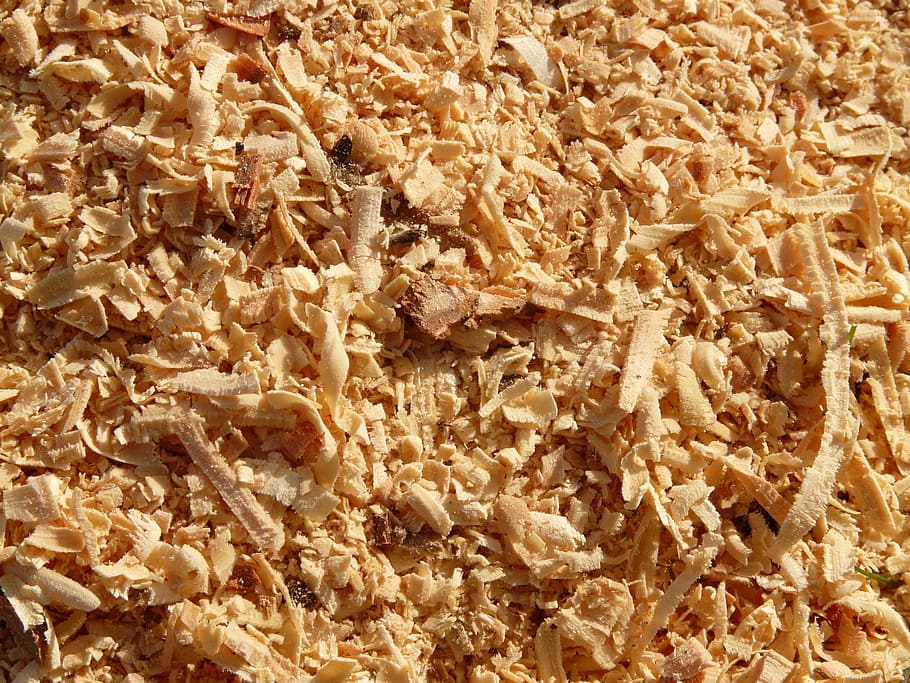 pile, shredded, woods, sawdust, saw, wood, woodworks, timber, logging, growing stock, close
