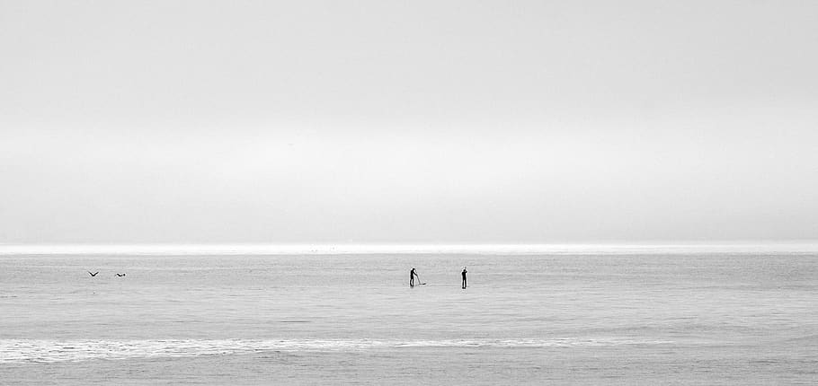 oceán, moře, horizont, nebe, pádlování, Černý a bílý