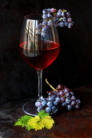 víno a hrozny, víno, hrozny, napít se, ovoce, sklenka, hroznů, Červené, alkohol, sklenice na víno, révy