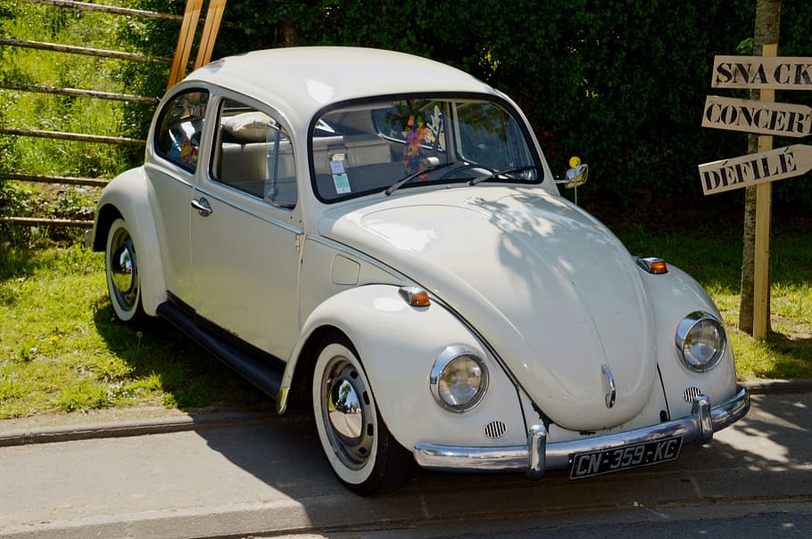 volkswagen beetle, car, vintage, former, collection, volkswagen, mark, type car