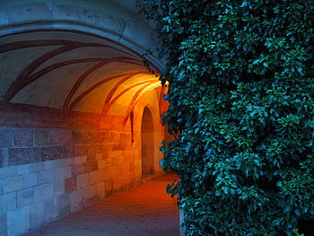 arancia, lampada, illuminato, beige, calcestruzzo, tunnel, chiostro, monastero di lorch, monastero, Lorch, monastero benedettino