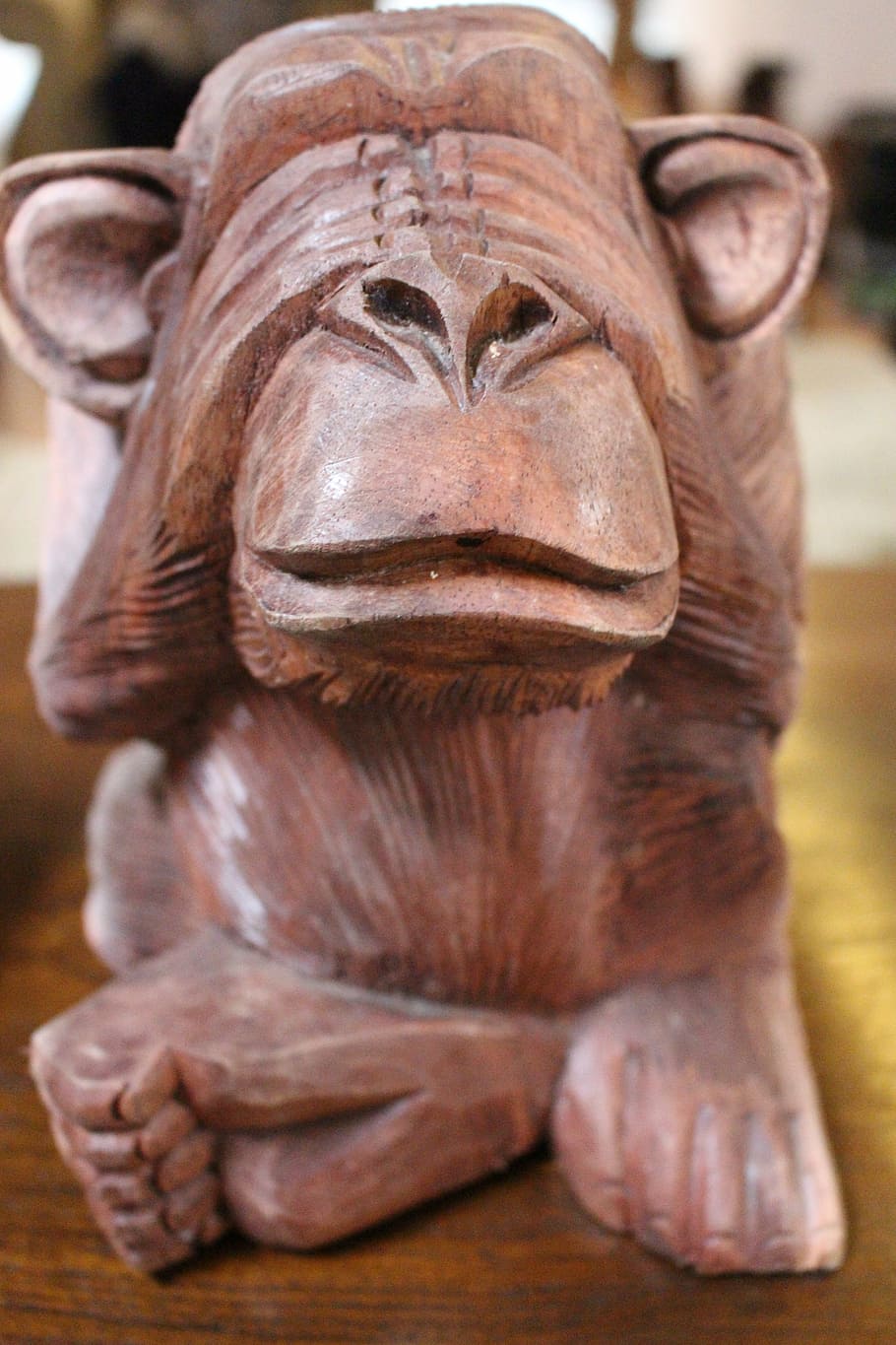 scimmia, scultura, intaglio, arte, intaglio del legno, animale, vedendo, cieco, non vedere il male, nascondino, statua