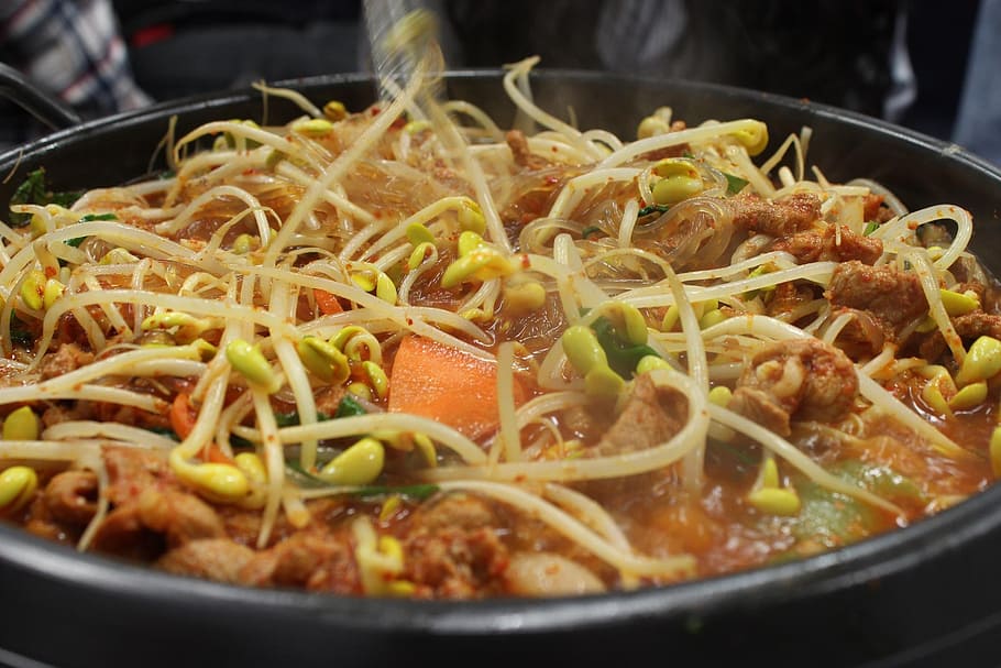 sprouts, republic of korea, hanok, jeonju, hanok village, bulgogi