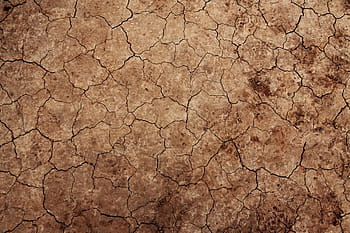 hnědá sušená půda, vyprahlá, Pozadí, klimatu, poušť, špína, sucho, suchý, Země, životní prostředí, eroze