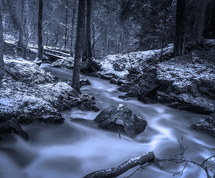 časosběrné fotografie, kaskádové, řeka, les, potok, zimní, švédská příroda, zátoka, hdr, Švédsko, strom