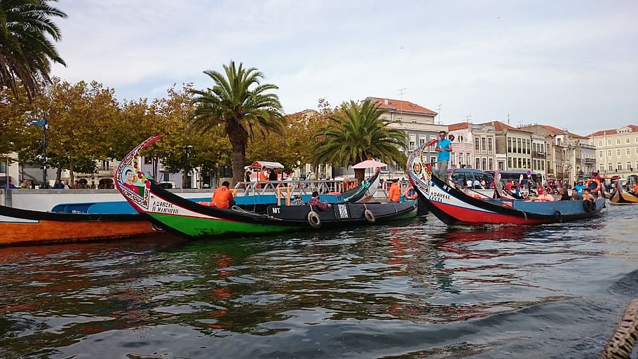 three assorted canoes, portugal, aveiro, europe, travel, outdoor, traditional, water, boats, city, old town