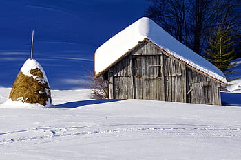 winter, barn, snow, scale, wood, log cabin, nature, rural, old, roof, mood