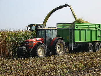 red, tractor, Corn, Harvest, Tractors, Field, corn harvest, autumn, agriculture, farm, rural Scene