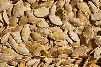 semi di zucca, seme, zucca, fresco, macro, mangiare sano, nutrizione, spuntino, frutta secca e noci, cibo, nucleo