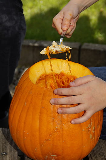 pumpkin, halloween, autumn, orange, vegetables, hollow out, 31 october, lid, carving pumpkin, carve pumpkin ghost, halloweenkuerbis