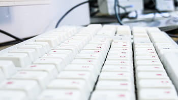 shallow, focus photography, white, computer keyboard, pink, corded, keyboard, computer, blur, electronic, modern