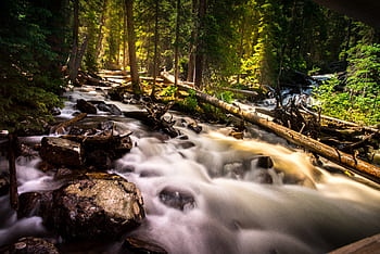 nature, landscape, river, rocks, stone, woods, forest, travel, adventure, water, trees