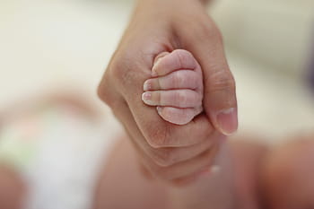 person, holding, baby, hand, hands, bond, love, people, family, together, togetherness