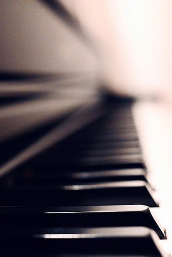 piano, piano keys, musical instrument, instrument, piano keyboard, music, keyboard, wing, keys, keyboard instrument, close up