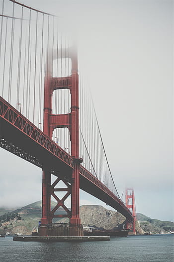 golden, gate bridge, san francisco california, brown, bridge, Golden Gate Bridge, San Francisco, architecture, water, sea, fog