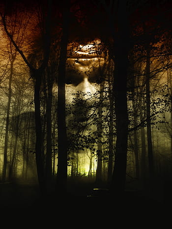 abraham lincoln tree, optical, illusion, forest, face, fog, horror, disgust, gray, dismay, shivers