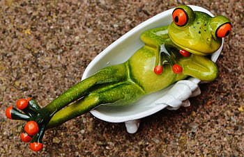 red, eyed, tree frog toy, frog, funny, bath, cute, concerns, relaxed, relax, figure