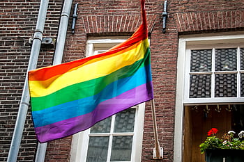 la fenêtre, drapeau, fierté, extérieur, Pays-Bas, lgbt, arc en ciel, coloré, symbole, Hollande