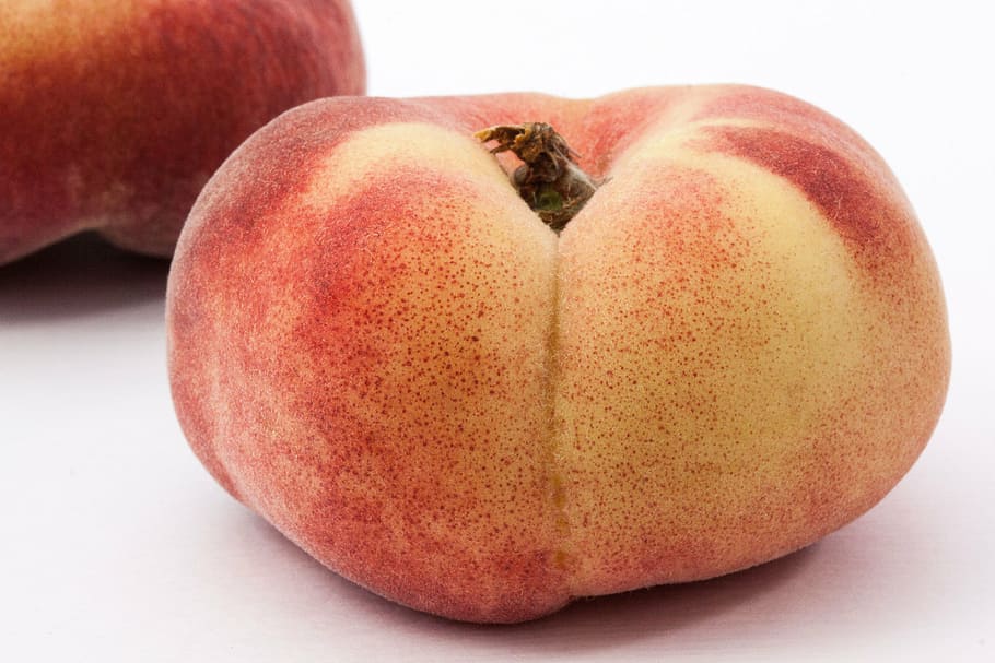 broskev vinice, růže skleník, rosaceae, broskev prunus persica, kamenné ovoce, aromatický, kožešinový, intenzivní, silné aroma, flóra, Příroda