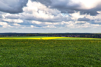 Mark, foderplante, rapsfrø, himmel, skyer, landskab, naturskøn, grøn, regn, sol, scene