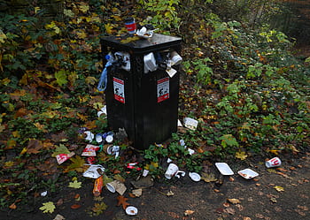 bin, overflowing, rubbish, garbage, trash, waste, landfill, pollution, junk, litter, environment