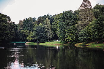 日当たりの良い、 日、 公園、 晴れた日、 夏、 緑、 自然、 散歩、 川沿い、 木、 水