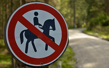 sign, the prohibition of, the horse, horseback riding, warning, note, banned, red, signpost, traffic, road