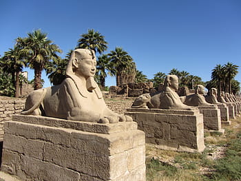 Faraone, sfinge, Egitto, vecchio, scultura, egiziano, pietra, Luxor, monumento, il passato, vecchia rovina