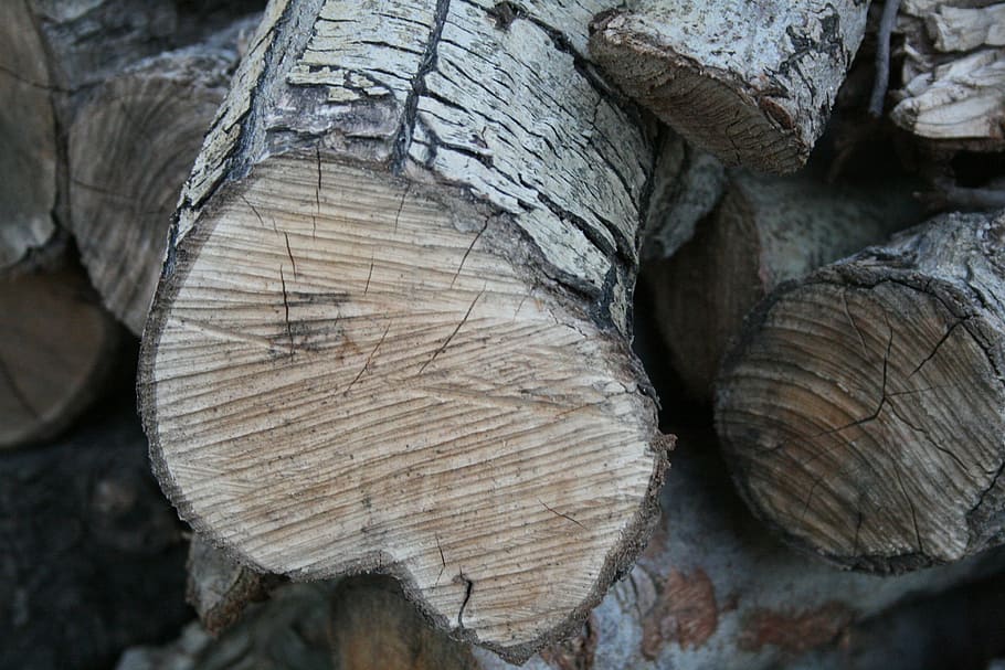 wood pile, sawn, wood, timber, lumber, stack, firewood, cut, pile, nature, forest