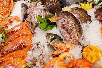 food photography, shrimps, fishes, seafood, food, healthy, sea, fresh, fish, restaurant, dinner
