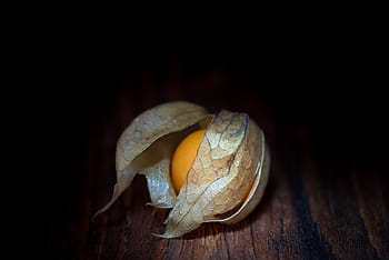 physalis, Physalis Peruviana, altın çilek pelerini, andes kiraz, andes berry, kabarcık kiraz, Portakal, meyve, tatlı, Gıda, dekorasyon