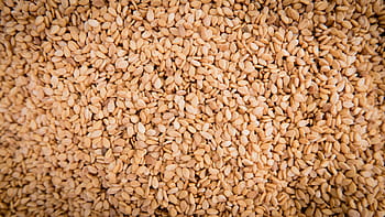 Sesame, Seeds, Sesame Seeds, sesame, seeds, sesamum indicum, pedaliaceae, oil plant, sesam greenhouse, culture greenhouse, healthy, food