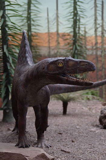 prehistorische Zeiten, Evolution, urtier, Ausstellungsstück, Museum, Naturhistorisches Museum, prähistorisch, Hagbard, Dinosaurier, Dino, Eidechse