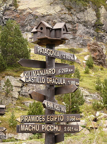 wooden patognia direction, wooden, direction, signposts, aviary, nesting box, shield, nature, away, crazy, orientation