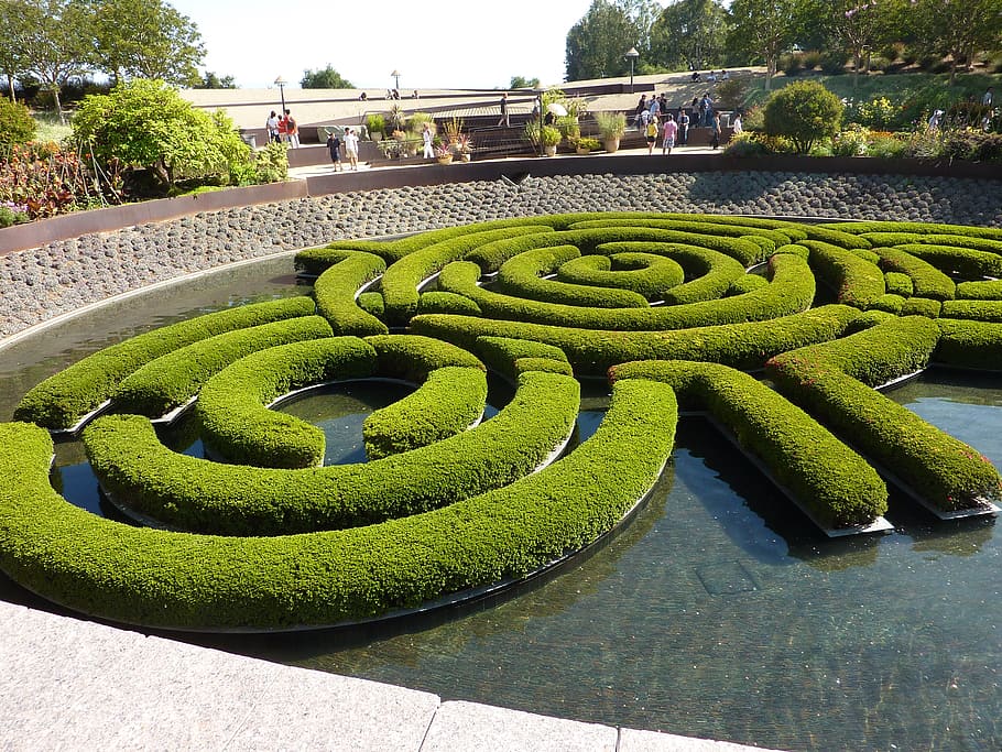 garden, hedge, park