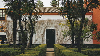 Seville, Spain, house, shrubs, trees, oranges, vines, cobblestone