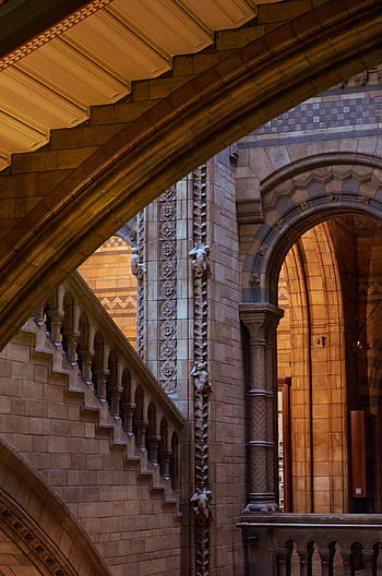 fotografie, hnědý, šedá, beton, sál, muzeum přírodní historie, Londýn, schodiště, vnitřní pohled, architektura, budova