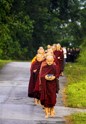 sangha in line, pindacara, pindapata, theravada monks, alms round, buddhist monks, religion, sangha on road, monk's life