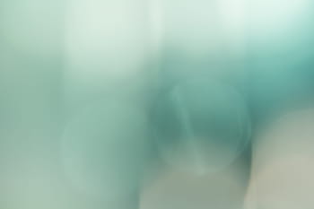 clean, background, blur, green, soft, clean background, light, color background, soft background, bright, blurred