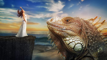 fantazie, drak, leguán, ještěrka, žena, Skála, pohádky, snový svět, mystický, skládání, fantasy obrázek