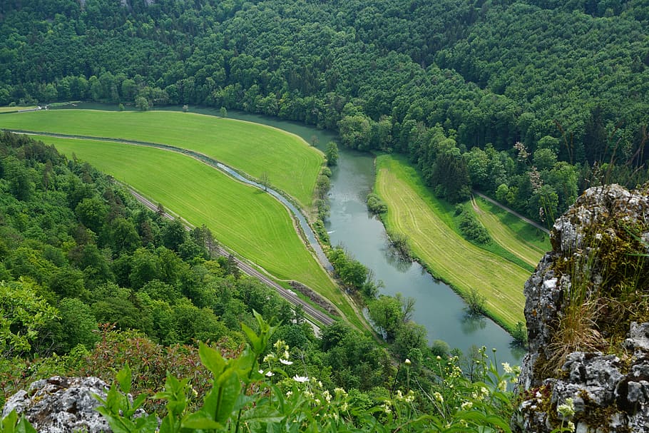 danube, nature, rock, landscape, river, water, germany, sigmaringen, south, forest, flow