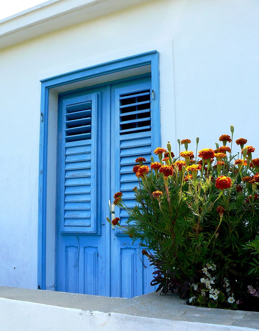 Door, Entrance, Home, Doorway, blue, front, exterior, flowers, wall, house, residence