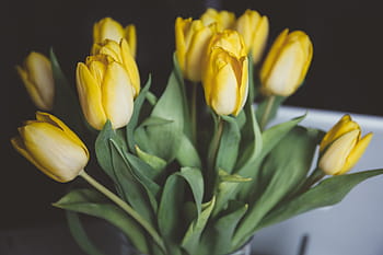 yellow, petaled flower bouquet, bouquet, petaled, flowers, petal, flower, green, leaf, nature, plant