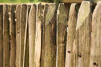 plot, dřevo, lišty, dřevěný plot, ohrada, hromada, prkno plot, obilí, textura, omezit, plotu post