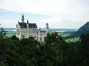 bílý, modrý, hrad, obklopen, zelená, listoval, strom, během dne, fotografie, les, neuschwanstein hrad