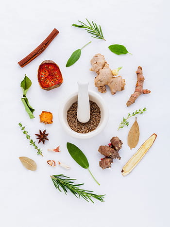 bílý, keramický, minomet, palička, odrůda, koření, třecí miska a tlouček, doktor, bazalka, přírodní, farmaceutický