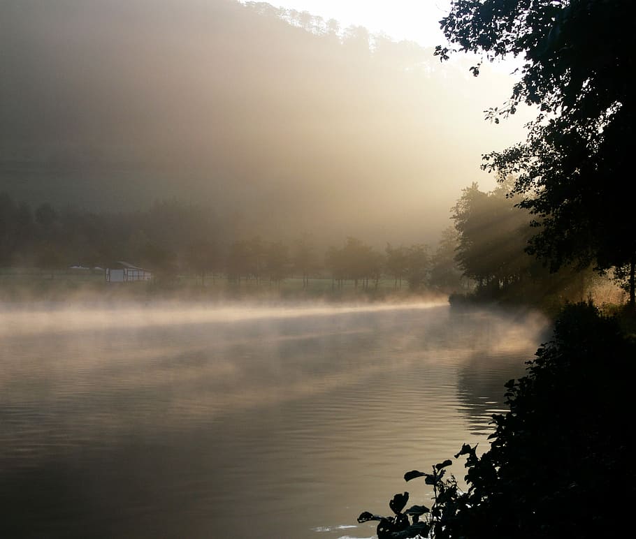 Sunbeam, Fog, Haze, morgenstimmung, shadow, back light, contour, sky, romantic, romance, light