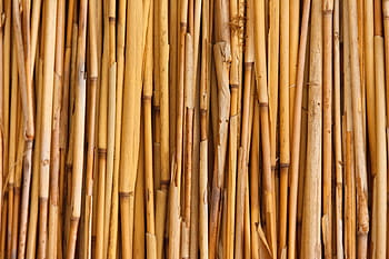brown, bamboo, stick, lot, fence, abstract, asian, background, bunch, natural, pattern