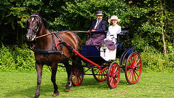 uomo, donna, carro trainato da cavalli, carrello, carrozza, viaggio, taxi, il cavallo, animale, cavalli, carrozza trainata da cavalli