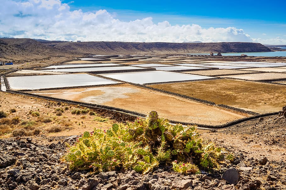 nature, landscape, sky, waters, travel, salt pans, lanzarote, salt, canary islands